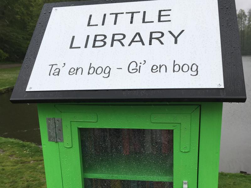 Little Library (Skovsøen)